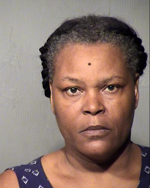 ARTEN SUSAN LUENIG Mugshot / Maricopa County Arrests / Maricopa County Arizona