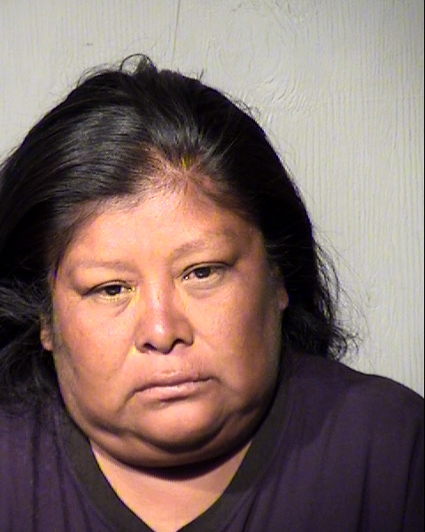 ELIZABETH M SARRACINO Mugshot / Maricopa County Arrests / Maricopa County Arizona