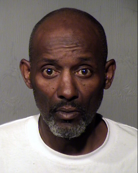 MICHAEL L LEE Mugshot / Maricopa County Arrests / Maricopa County Arizona