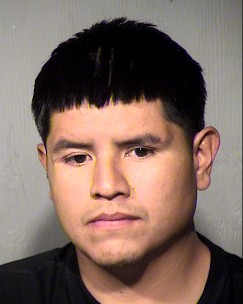 JOLAN ROBERTE DIXON Mugshot / Maricopa County Arrests / Maricopa County Arizona