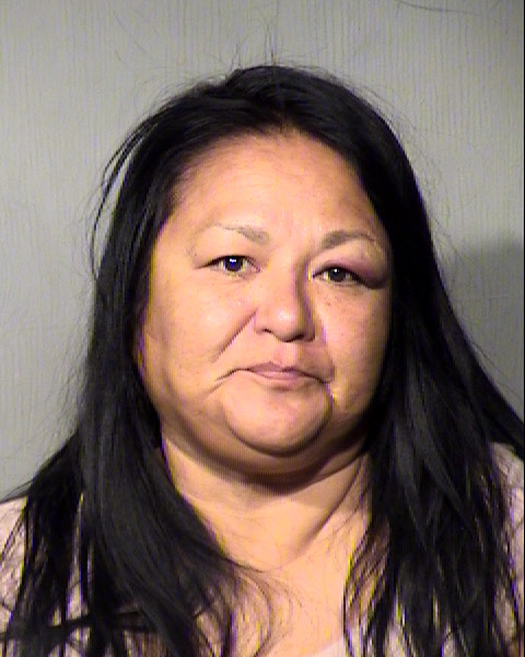 NAN LEE TSOSIE Mugshot / Maricopa County Arrests / Maricopa County Arizona