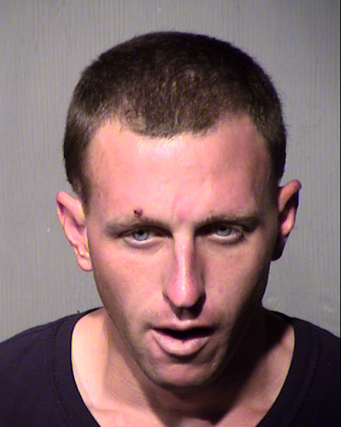 STEVEN JOEL GREEN Mugshot / Maricopa County Arrests / Maricopa County Arizona