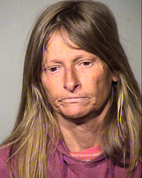 REBECCA RUTH PLESCIA Mugshot / Maricopa County Arrests / Maricopa County Arizona