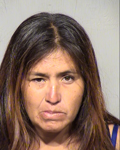 AMADA MARIE LOMELI Mugshot / Maricopa County Arrests / Maricopa County Arizona
