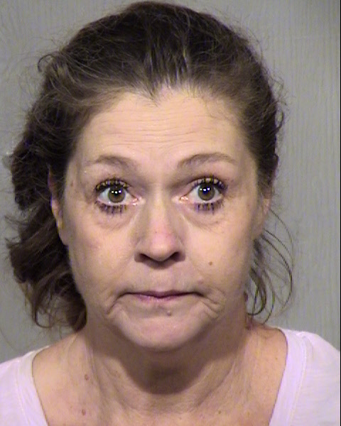 SUSAN M HENDRIX Mugshot / Maricopa County Arrests / Maricopa County Arizona