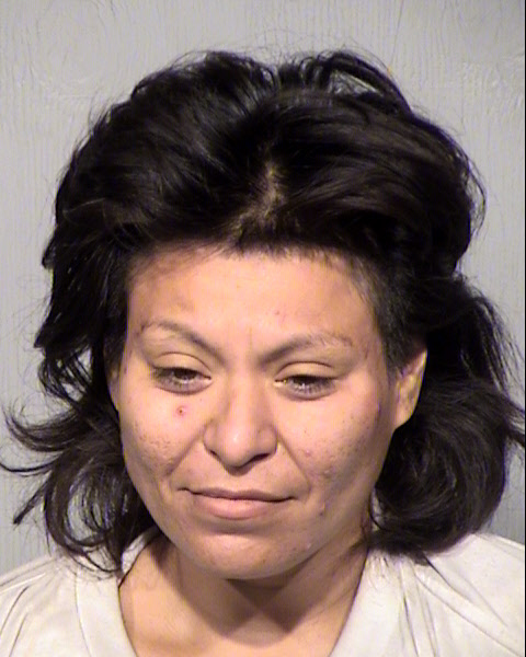 ERIKA JUDE CHAVEZ Mugshot / Maricopa County Arrests / Maricopa County Arizona