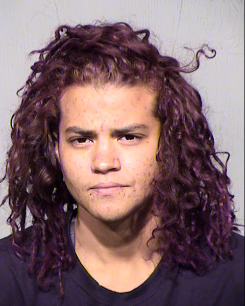 CHELSEA RENEE LLOYD Mugshot / Maricopa County Arrests / Maricopa County Arizona