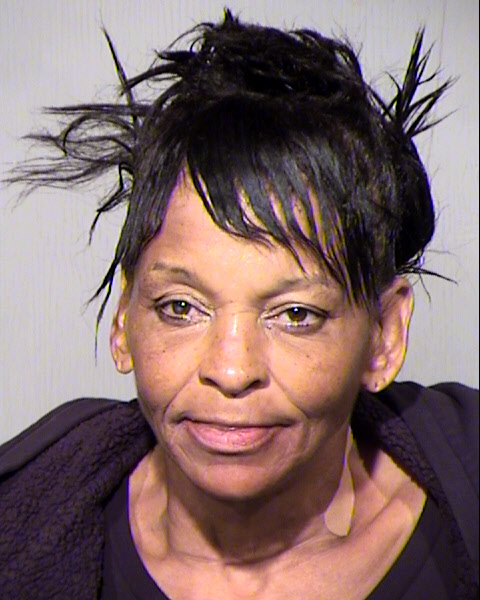 LISA ENGRAM Mugshot / Maricopa County Arrests / Maricopa County Arizona