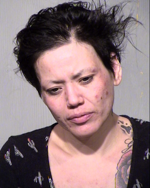 LETICIA M ALVARADO Mugshot / Maricopa County Arrests / Maricopa County Arizona