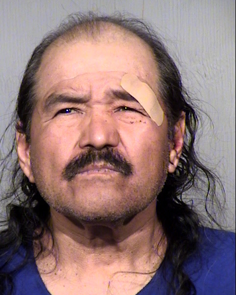 WARNER BRYAN SCOTT Mugshot / Maricopa County Arrests / Maricopa County Arizona