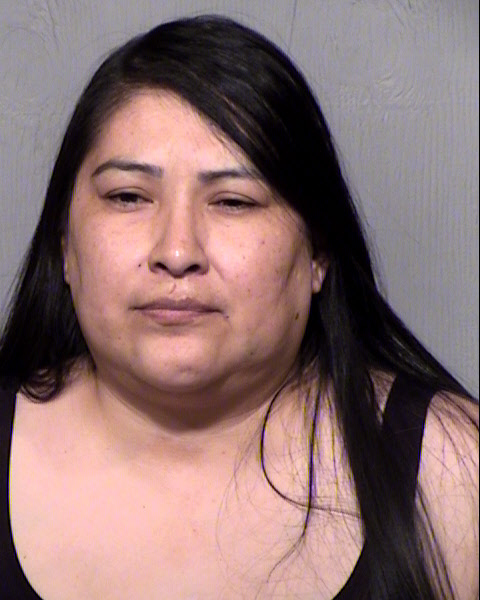 KARI LOU HELEN TOLEDO Mugshot / Maricopa County Arrests / Maricopa County Arizona
