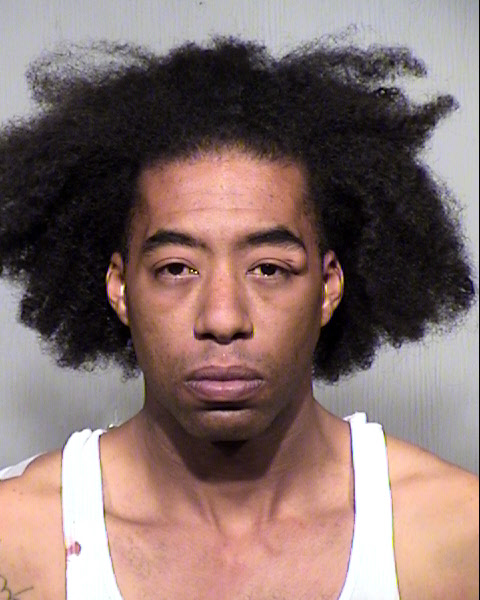 DONALD EARL ANDERSON Mugshot / Maricopa County Arrests / Maricopa County Arizona