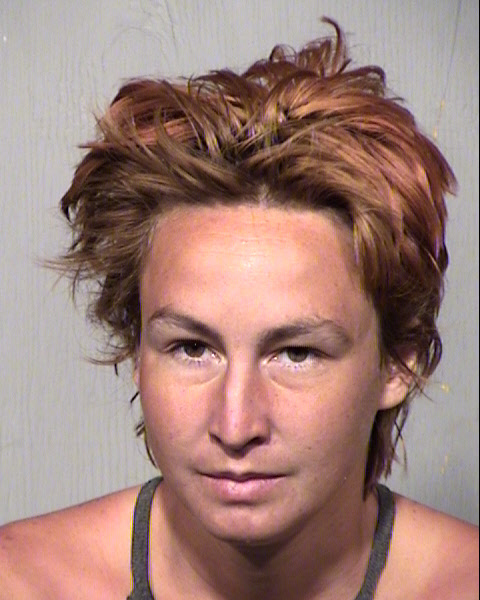 MOLLY LYNN HINTZE Mugshot / Maricopa County Arrests / Maricopa County Arizona