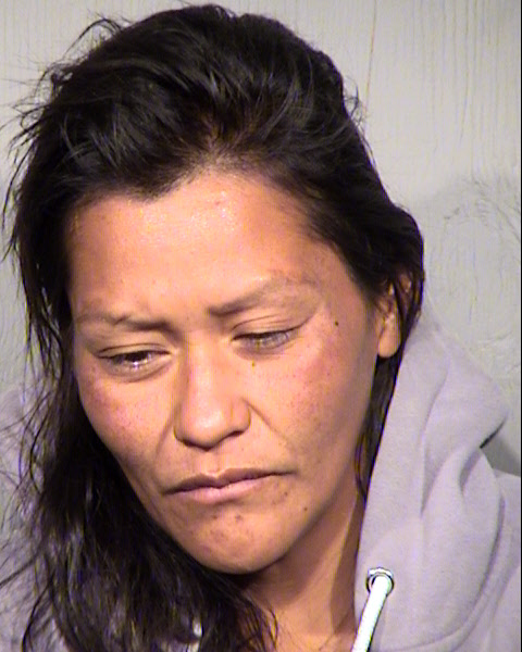 HARRIETT ANN PESHLAKAI Mugshot / Maricopa County Arrests / Maricopa County Arizona