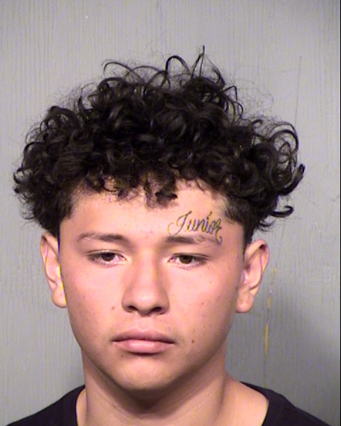 ARMANDO ORTEGA CRUZ Mugshot / Maricopa County Arrests / Maricopa County Arizona