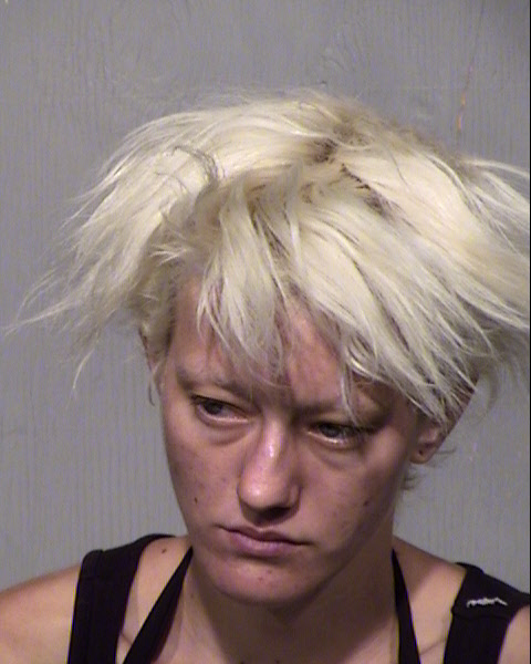 CAITLIN VELMA ANN ROBINSON Mugshot / Maricopa County Arrests / Maricopa County Arizona