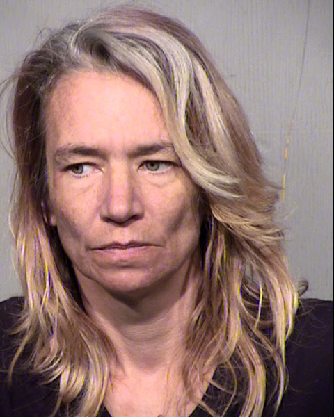 SHANE M ELSON-GARDINER Mugshot / Maricopa County Arrests / Maricopa County Arizona