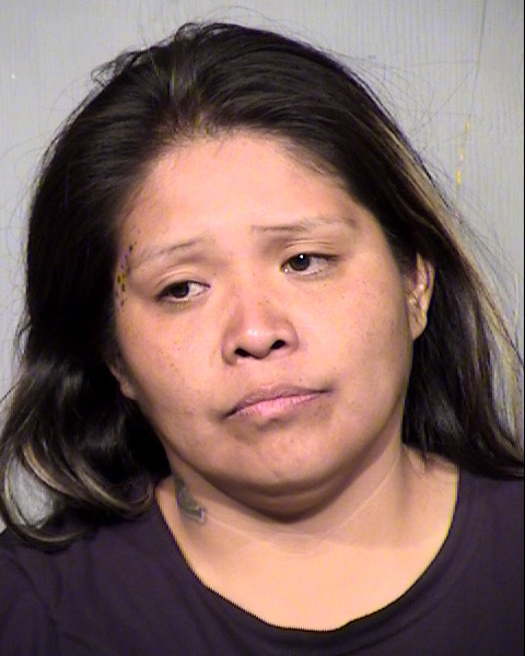 BONNIE JOY NASH-SALVADOR Mugshot / Maricopa County Arrests / Maricopa County Arizona