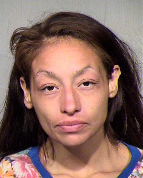 JULIA ANNA COCIO Mugshot / Maricopa County Arrests / Maricopa County Arizona