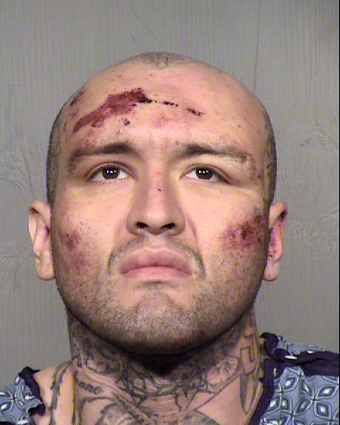 DIEGO H HANZE Mugshot / Maricopa County Arrests / Maricopa County Arizona