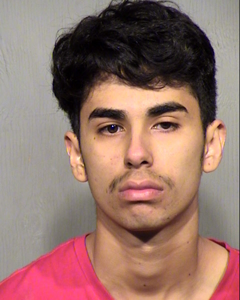 VICTOR M PEREZ LUNA Mugshot / Maricopa County Arrests / Maricopa County Arizona
