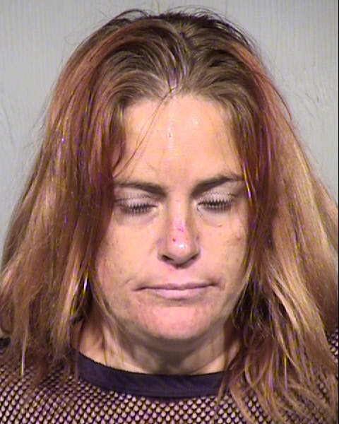 KRISTY LEE HINEBAUGH Mugshot / Maricopa County Arrests / Maricopa County Arizona