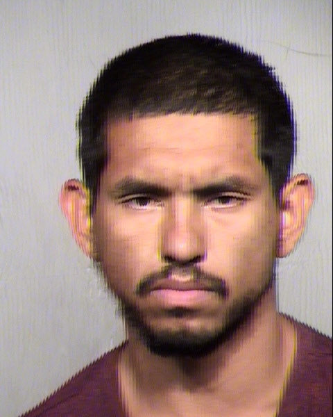 MARIO ANDRETTI SAYA Mugshot / Maricopa County Arrests / Maricopa County Arizona