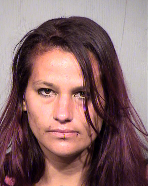 DANIELLE MARIE HOOPER Mugshot / Maricopa County Arrests / Maricopa County Arizona