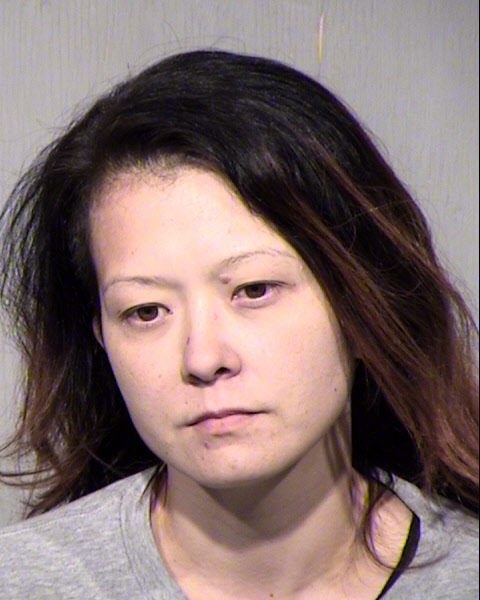 ALINA AARON CARLISE Mugshot / Maricopa County Arrests / Maricopa County Arizona