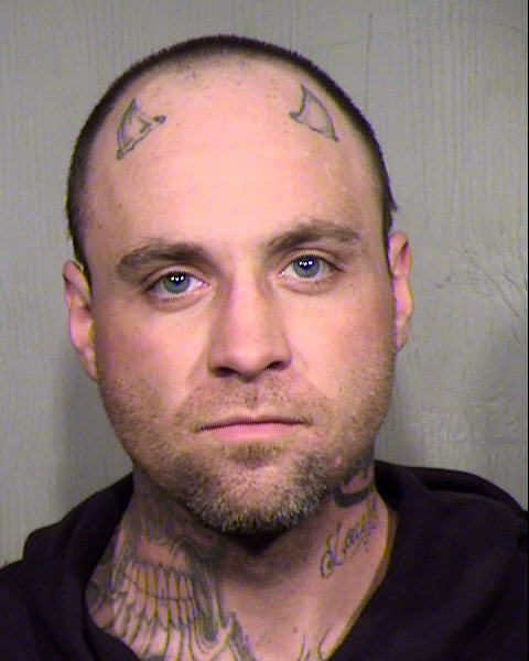 TIMOTHY JOHN WEDIN Mugshot / Maricopa County Arrests / Maricopa County Arizona