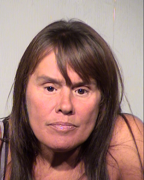 LISA MARIE LUZ Mugshot / Maricopa County Arrests / Maricopa County Arizona