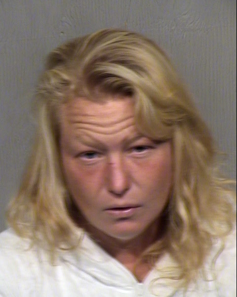 TRICIA LEANNE HERRERA Mugshot / Maricopa County Arrests / Maricopa County Arizona