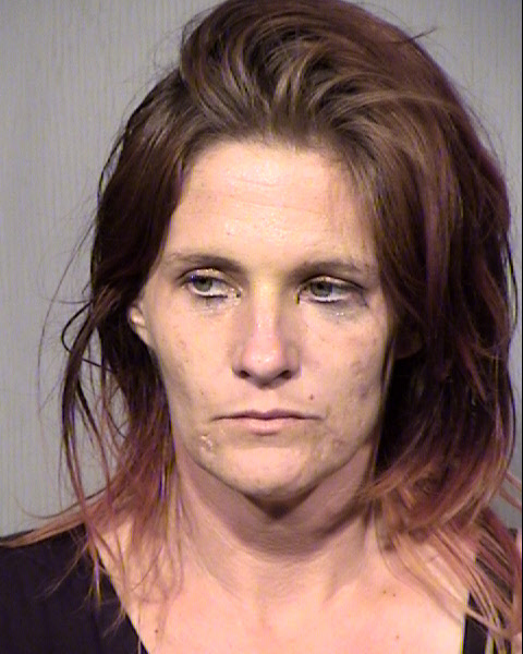SANDRA LEE LIKEWISE Mugshot / Maricopa County Arrests / Maricopa County Arizona
