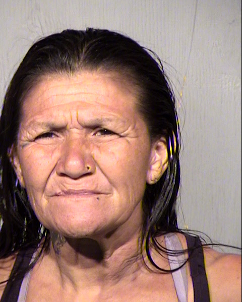 SYLVIA ROMERO BELTRAN-SERNA Mugshot / Maricopa County Arrests / Maricopa County Arizona