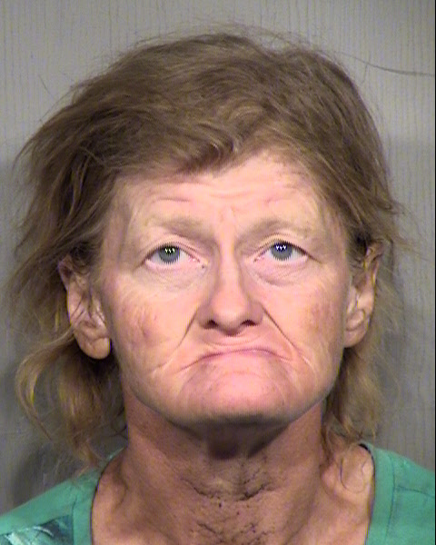 CINDY LORRELL STALLBERG Mugshot / Maricopa County Arrests / Maricopa County Arizona