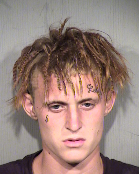 TRISTYN ROY VICKERS Mugshot / Maricopa County Arrests / Maricopa County Arizona