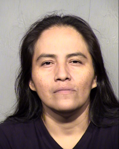 SARA LYNDELL ANDERSON Mugshot / Maricopa County Arrests / Maricopa County Arizona