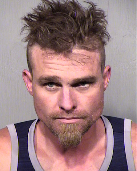 TRAVIS D LEEDS Mugshot / Maricopa County Arrests / Maricopa County Arizona