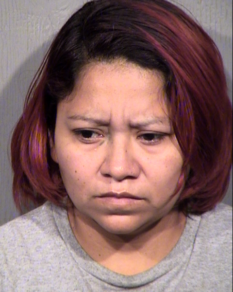 ALMA DELFINA BENITEZ Mugshot / Maricopa County Arrests / Maricopa County Arizona