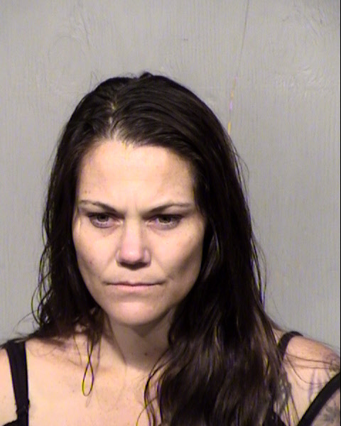 KARRIE LOUISE FLETCHER Mugshot / Maricopa County Arrests / Maricopa County Arizona