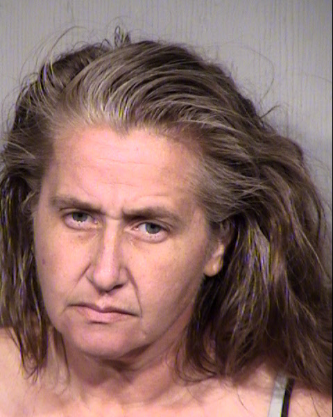 RENEE CAROLYN HERNANDEZ Mugshot / Maricopa County Arrests / Maricopa County Arizona