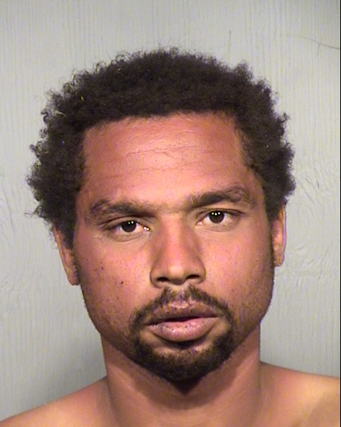 TREVER LAMON STALLINGS Mugshot / Maricopa County Arrests / Maricopa County Arizona