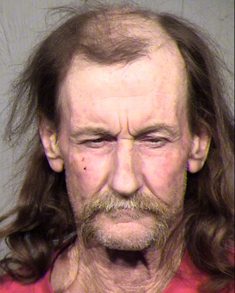 TIMOTHY TIMOTHY JOHNSON Mugshot / Maricopa County Arrests / Maricopa County Arizona