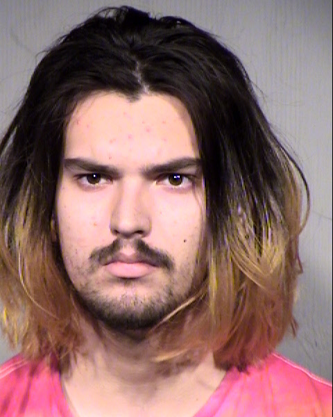 THOMAS JAMES ARRIES Mugshot / Maricopa County Arrests / Maricopa County Arizona