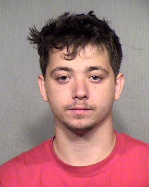 TREVOR AUSTIN DOMINGUEZ Mugshot / Maricopa County Arrests / Maricopa County Arizona