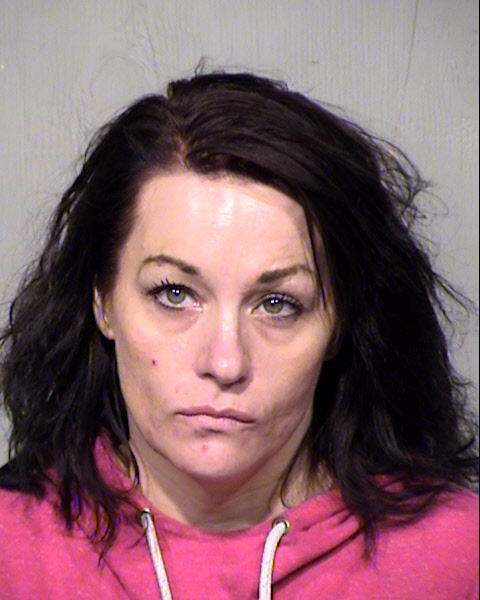 TRISHA M JOHNSON Mugshot / Maricopa County Arrests / Maricopa County Arizona