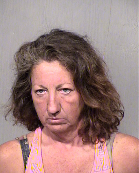 TINA JOLYNN NELSON Mugshot / Maricopa County Arrests / Maricopa County Arizona