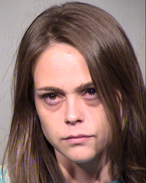 SARA BETH HAMLIN Mugshot / Maricopa County Arrests / Maricopa County Arizona