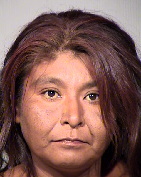 VANESSA NEL JACKSON Mugshot / Maricopa County Arrests / Maricopa County Arizona