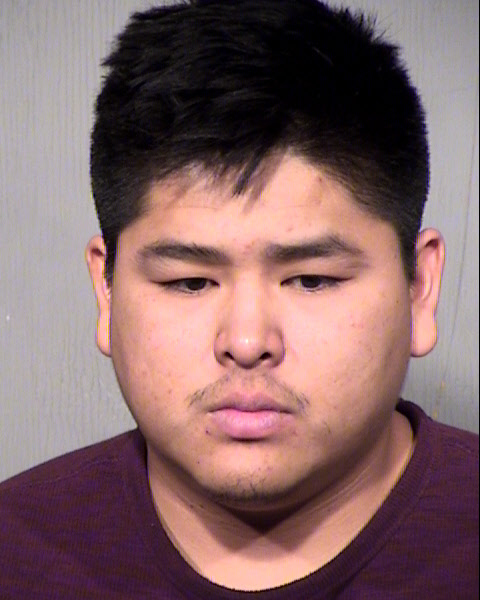 TRISTAN TIBB ARMBOY Mugshot / Maricopa County Arrests / Maricopa County Arizona